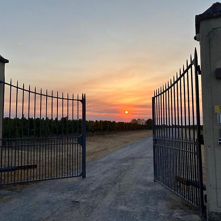 Saint-Caprais-de-Bordeaux Chateau Canteloup Bed & Breakfast 部屋 写真