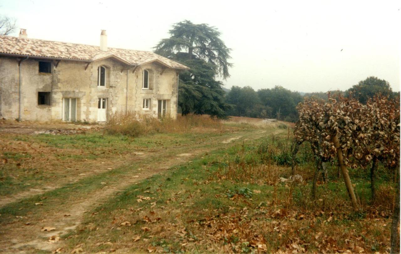 Saint-Caprais-de-Bordeaux Chateau Canteloup Bed & Breakfast エクステリア 写真