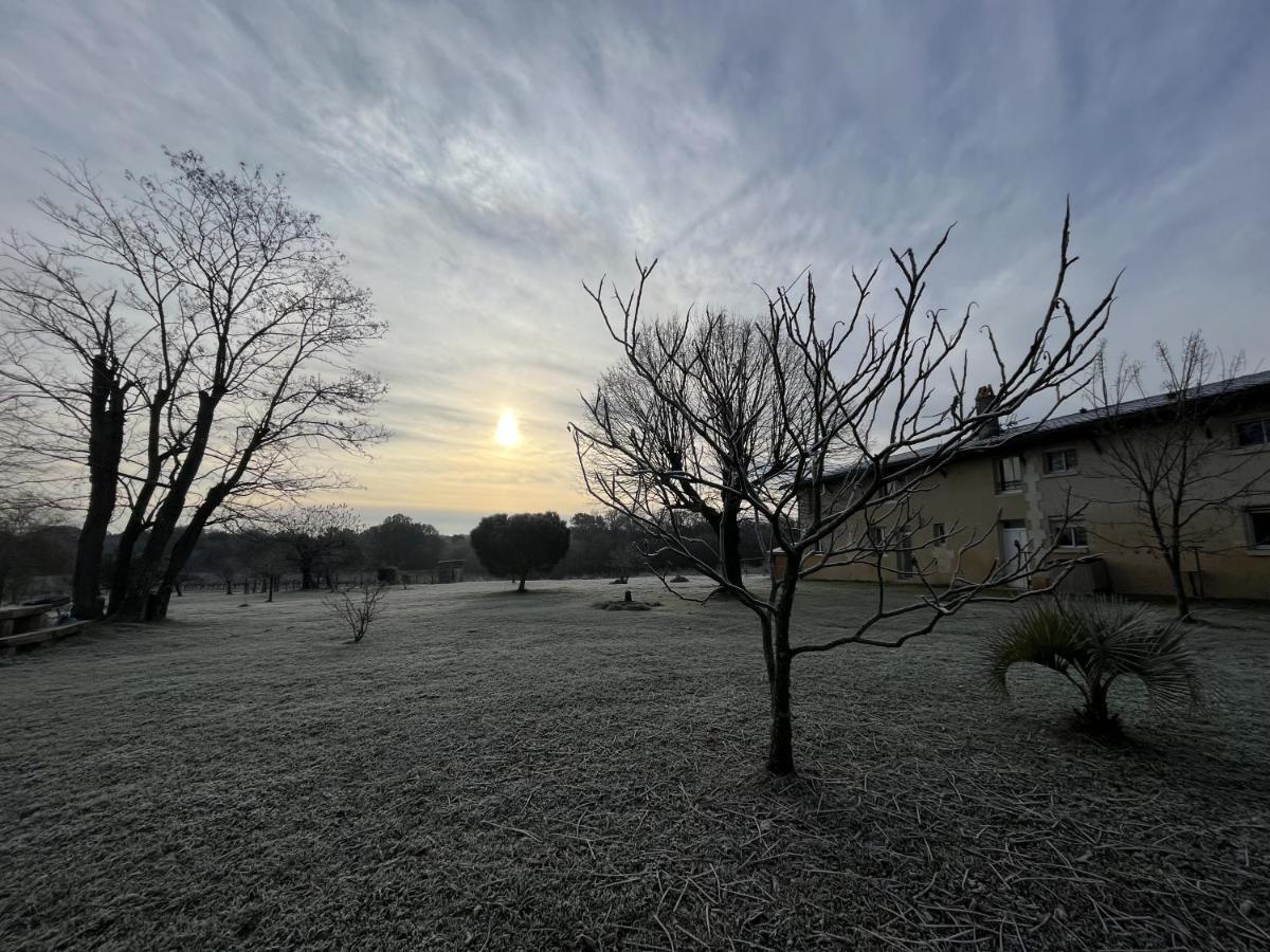 Saint-Caprais-de-Bordeaux Chateau Canteloup Bed & Breakfast エクステリア 写真